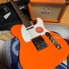 スクワイヤー　アンプ　その他