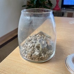 金魚鉢 メダカ 水槽の画像