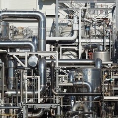 10月より１ヶ月の募集です！の画像