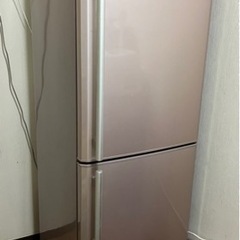 2ドア冷蔵庫256Lの画像