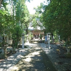皆神山に行きませんか😊？