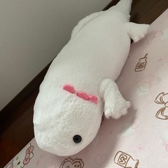 ウーパールーパー