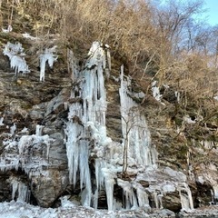 土曜日のみですが − 群馬県