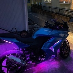土曜日のみですが