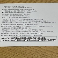 ナガシマ　プール　ペア2枚の画像