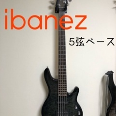 ibanez アイバニーズ ROADGEAR RDGR 5弦ベース RD605