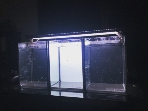 コトブキ　コレクトボード水槽セット