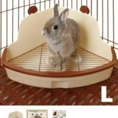 うさぎのトイレの画像