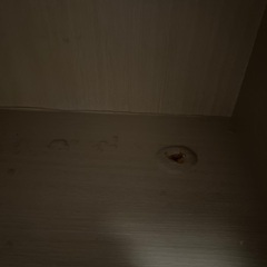 【明日まで】KARIMOKU CAT RESTROOM カリモクキャット 猫トイレの画像