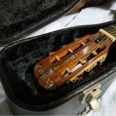 ARIA The Sandpiper SP-250/J 美品の画像
