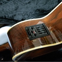 ARIA The Sandpiper SP-250/J 美品の画像