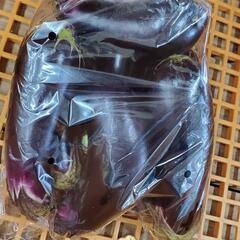 🍆なす🍆です!    訳あり商品になります。