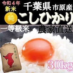 令和４年とれたての新米 一等級米 コシヒカリ 30kg 米 玄米...