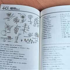 【勉強】英単語帳 ２冊セット【初心者向け】の画像