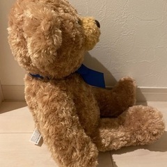 テディベア　ぬいぐるみの画像