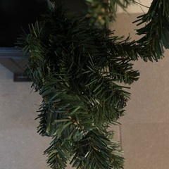 【差し上げます】海外渡航のため季節はずれですが150cmクリスマスツリーをもらって下さいの画像