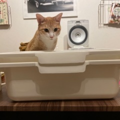 ニトリ　カラボ用引き出し4個　※20日まで掲載
