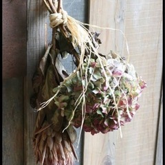 水やりお手入れ不用でずーっと飾れる秋色紫陽花　ドライフラワーあじさい　gtpの画像