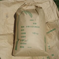 わけあり玄米10㎏ 令和４年産 食味に問題なし ２袋あります