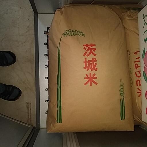 令和3年度コシヒカリ30㎏低温保存