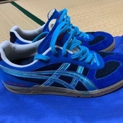 ハンドボールシューズ　九州限定カラー