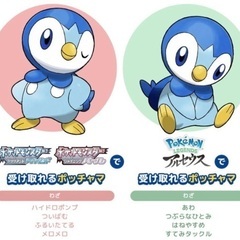 🐧プロジェクトポッチャマのポッチャマプレゼント 2枚セット 期間限定 レア物 非売品の画像