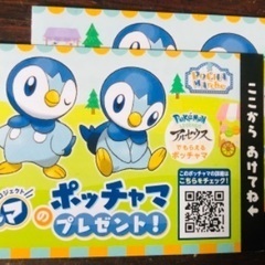 🐧プロジェクトポッチャマのポッチャマプレゼント 2枚セット 期間...