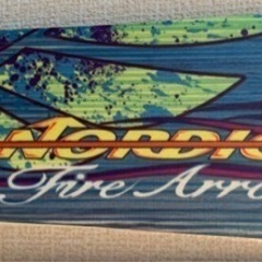 NORDICA Fire Arrowの画像