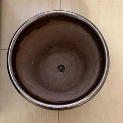 【受け渡し予定決定】観葉植物の鉢🌿の画像