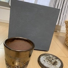 【受け渡し予定決定】観葉植物の鉢🌿の画像