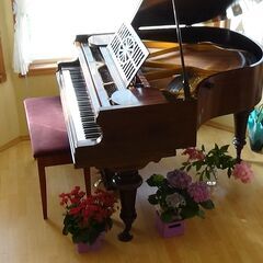 英語でピアノを学ぼうの画像