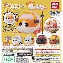 モルカーカプセルトイ　チョコ