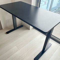 FLEXISPOT ブラック 自動昇降デスク 美品 120cm×...