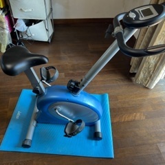 アルインコ　エアロバイク