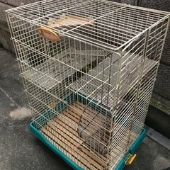 小動物用ゲージ　運動用ホイール付