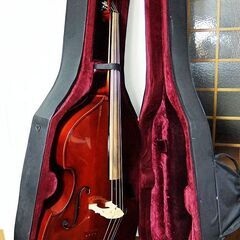 chaki F20 チャキ ウッドベース コントラバス bassの画像