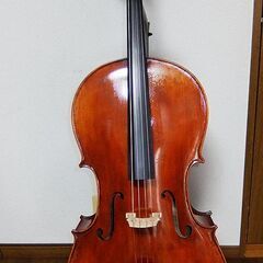 Eastman VC501 チェロ イーストマン 美品