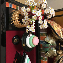 ひな人形　ガラスケースの画像