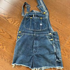 Leeサロペット