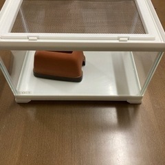 爬虫類ケージ　