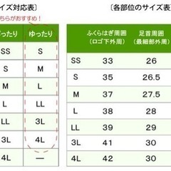 【日本野鳥の会】バードウォッチング　レインブーツの画像