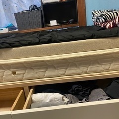 ベット