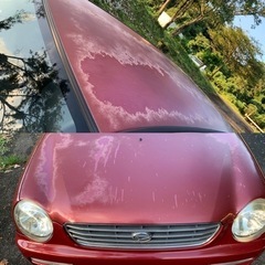 御成約㊗️オプティ●車検長〜いの画像