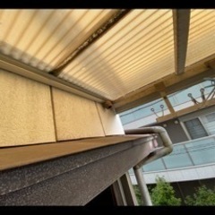 拳大の大きさの蜂の巣を取りたい（オークション方式）