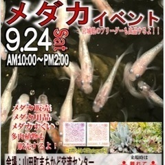 メダカイベント　山田町