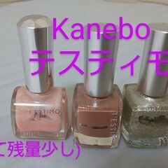 マニキュア(残量少ない)【無料ですのでお早めに問合せお願いします】の画像