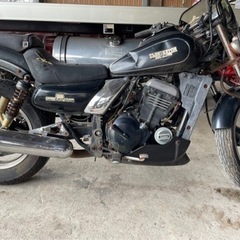 エリミネーター250SE