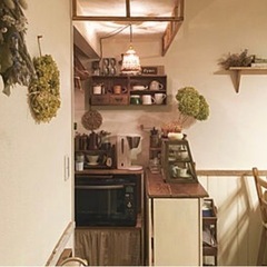 水やりもお手入れも不用、ずっと放置でok アナベル紫陽花　アジサイの画像