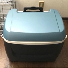 イグルー　IGLOO 47L クーラーボックス　美品