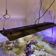【美品！】maxspect R5-150